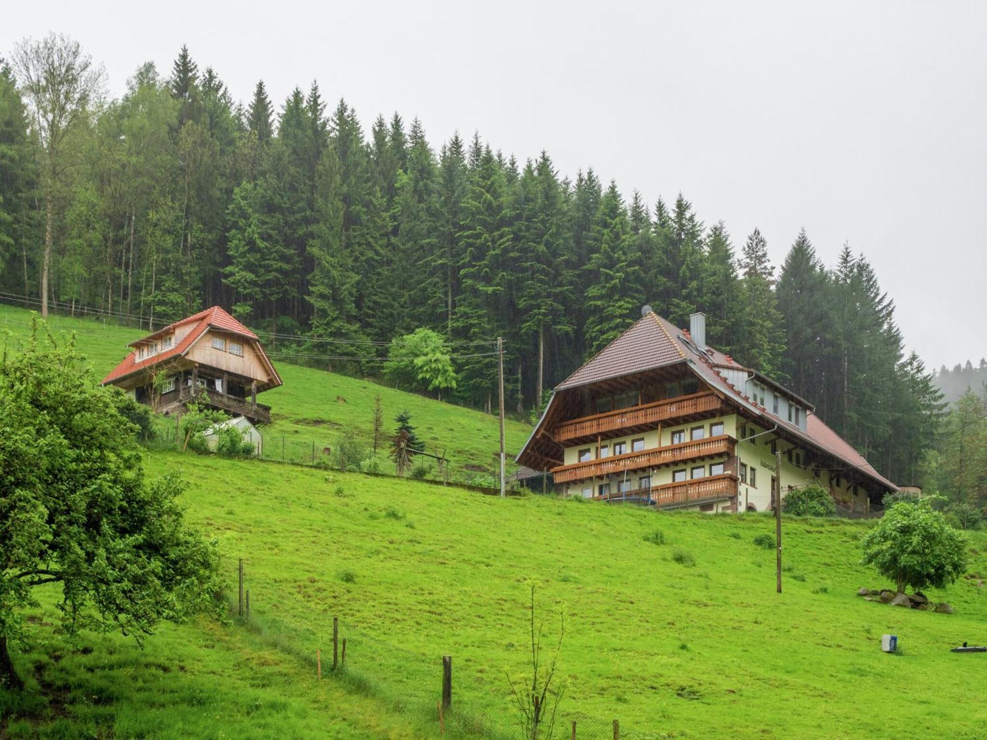 Cosy Farmhouse Apartment At The Edge Of The Forest Mühlenbach Exterior foto